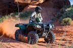 Thumbnail Photo 4 for New 2021 Honda FourTrax Foreman Rubicon 4x4 Automatic DCT