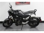 Thumbnail Photo 3 for 2021 Husqvarna Svartpilen
