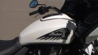 Thumbnail Photo 5 for 2021 Indian Challenger Dark Horse