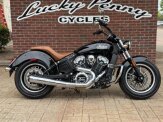 2021 Indian Scout