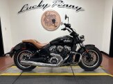 2021 Indian Scout