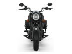 Thumbnail Photo 4 for 2021 Indian Vintage Dark Horse