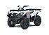 2021 Kawasaki Brute Force 750
