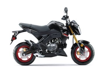 2021 Kawasaki Z125 Pro