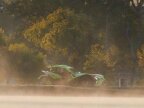 Thumbnail Photo 6 for 2021 Polaris Slingshot R