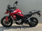 Thumbnail Photo 2 for 2021 Triumph Tiger 900 GT