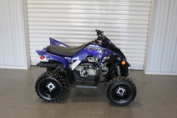2021 Yamaha Raptor 90