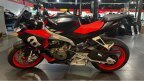 Thumbnail Photo 4 for 2022 Aprilia Tuono