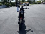 Thumbnail Photo 6 for New 2022 Benelli Leoncino