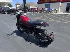 Thumbnail Photo 3 for New 2022 Benelli Leoncino