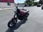 Thumbnail Photo 5 for New 2022 Benelli Leoncino