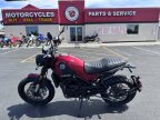 Thumbnail Photo 4 for New 2022 Benelli Leoncino