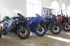 Thumbnail Photo 5 for New 2022 Benelli Leoncino