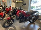 Thumbnail Photo 5 for New 2022 Benelli Leoncino