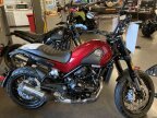 Thumbnail Photo 4 for New 2022 Benelli Leoncino