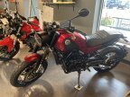 Thumbnail Photo 1 for New 2022 Benelli Leoncino