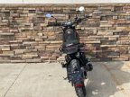 Thumbnail Photo 5 for New 2022 Benelli Leoncino