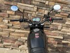 Thumbnail Photo 6 for New 2022 Benelli Leoncino