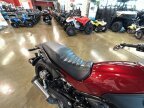 Thumbnail Photo 5 for 2022 Benelli Leoncino