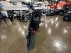 Thumbnail Photo 6 for 2022 Benelli Leoncino