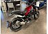 New 2022 Benelli Leoncino