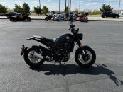 New 2022 Benelli Leoncino