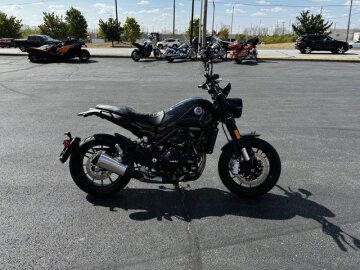 New 2022 Benelli Leoncino