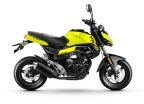 Thumbnail Photo 6 for New 2022 CFMoto Papio