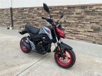 Thumbnail Photo 1 for New 2022 CFMoto Papio