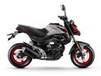 Thumbnail Photo 6 for New 2022 CFMoto Papio