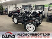 2022 Can-Am Ryker 900 Rally