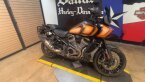 Thumbnail Photo 6 for 2022 Harley-Davidson Pan America Special