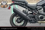 Thumbnail Photo 1 for 2022 Harley-Davidson Pan America Special