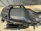 Thumbnail Photo 6 for 2022 Harley-Davidson Pan America Special