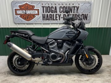 2022 Harley-Davidson Pan America Special