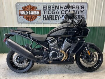 2022 Harley-Davidson Pan America Special