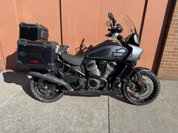 2022 Harley-Davidson Pan America Special