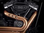 Thumbnail Photo 1 for 2022 Harley-Davidson Softail Fat Bob 114