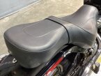 Thumbnail Photo 4 for 2022 Harley-Davidson Softail Standard