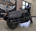 Thumbnail Photo 3 for 2022 Harley-Davidson Softail Low Rider ST