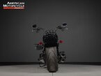 Thumbnail Photo 4 for 2022 Harley-Davidson Softail Fat Boy 114