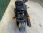 Thumbnail Photo 6 for 2022 Harley-Davidson Softail Low Rider S