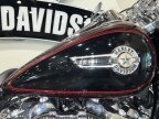 Thumbnail Photo 4 for 2022 Harley-Davidson Softail Fat Boy 114