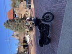 Thumbnail Photo 1 for 2022 Harley-Davidson Softail Low Rider ST for Sale by Owner