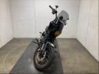 Thumbnail Photo 1 for 2022 Harley-Davidson Softail Low Rider S