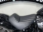 Thumbnail Photo 5 for 2022 Harley-Davidson Softail Standard