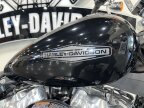 Thumbnail Photo 4 for 2022 Harley-Davidson Softail Standard
