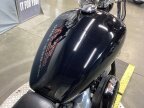 Thumbnail Photo 4 for 2022 Harley-Davidson Softail Standard