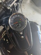 Thumbnail Photo 4 for 2022 Harley-Davidson Softail