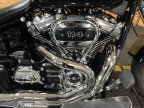 Thumbnail Photo 1 for 2022 Harley-Davidson Softail Fat Boy 114